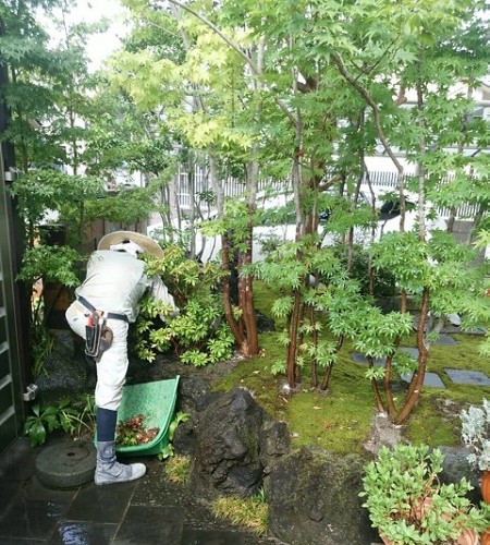 内田緑化センター（埼玉）のお庭のお手入れ・改修　業務内容