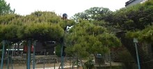 内田緑化センター　お庭のお手入れ・改修　業務紹介